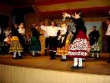 Semillas-ACRA (28)